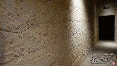 午夜黄色视频免费观看午夜福利大片牆的“生態宣言”